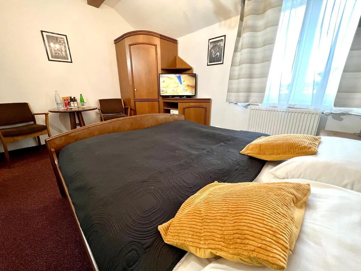 Schlosshotel Marienbad Ξενοδοχείο Mariánské Lázně